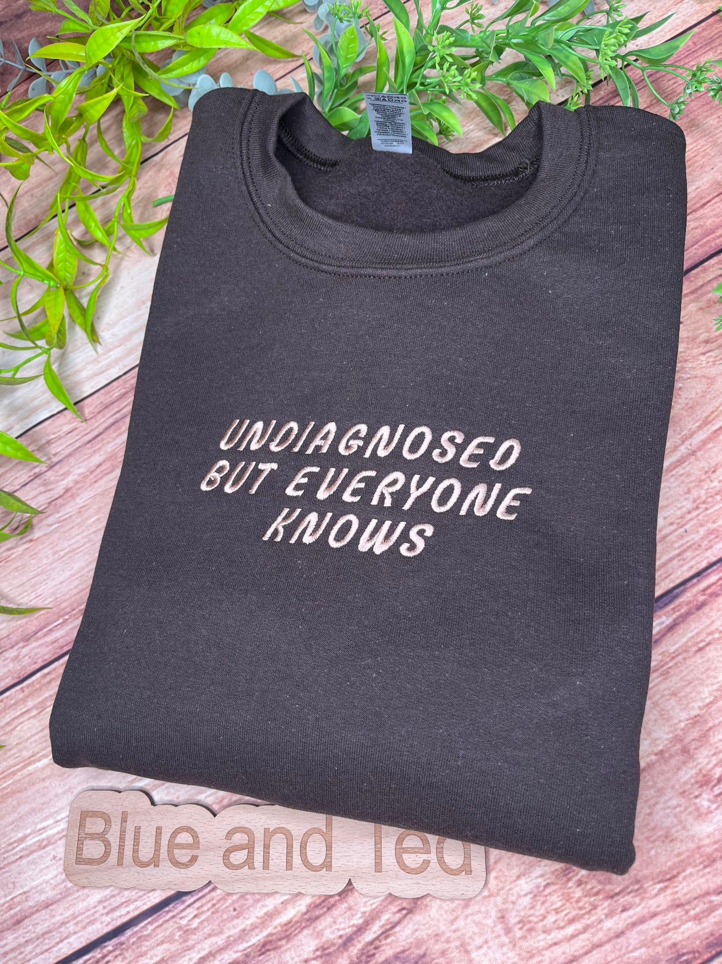 UNDIAGNOSED BUT EVERYONE KNOWS EMBROIDERED SWEATSHIRT