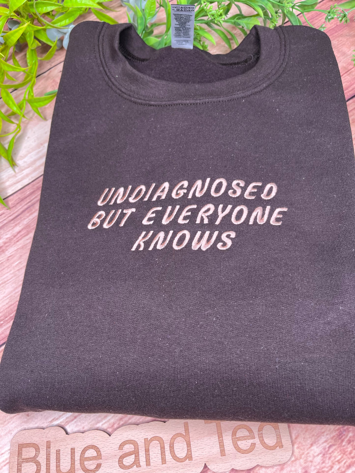 UNDIAGNOSED BUT EVERYONE KNOWS EMBROIDERED SWEATSHIRT