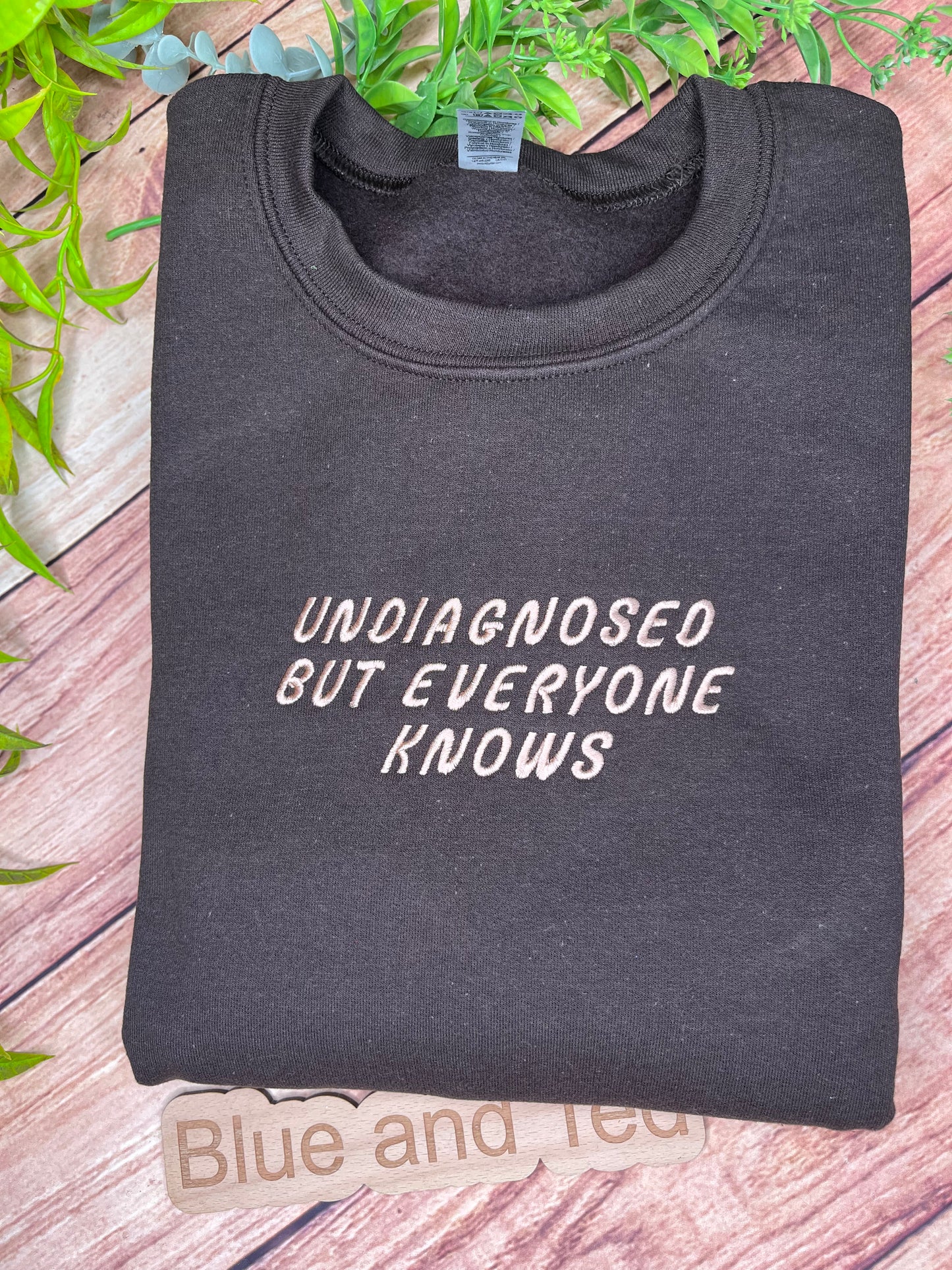 UNDIAGNOSED BUT EVERYONE KNOWS EMBROIDERED SWEATSHIRT