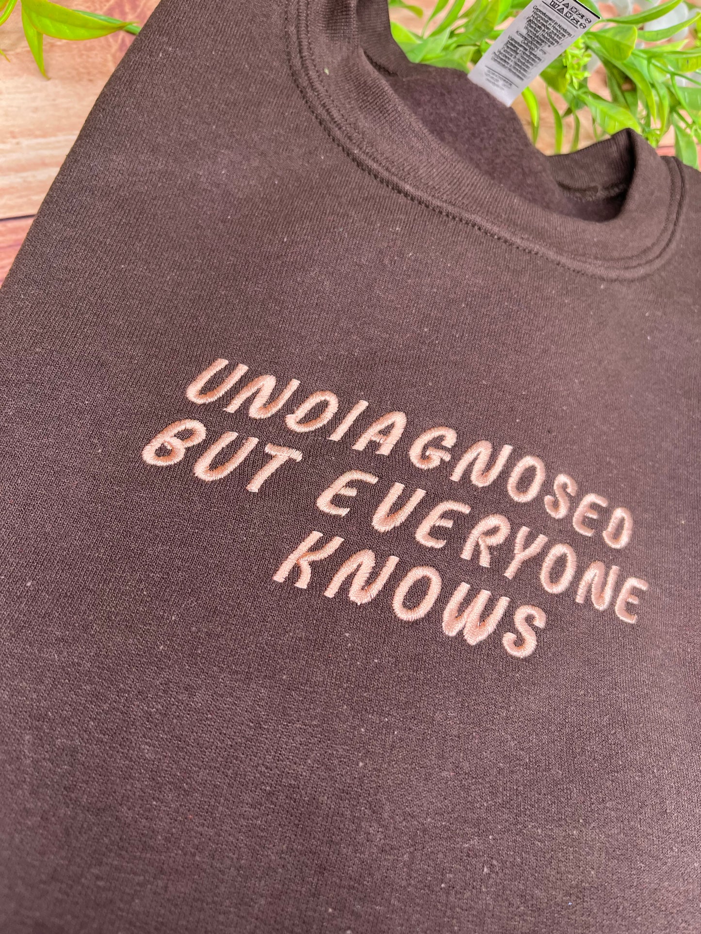 UNDIAGNOSED BUT EVERYONE KNOWS EMBROIDERED SWEATSHIRT